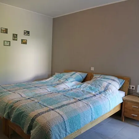 Apartment Castelferien Dak Echtershausen